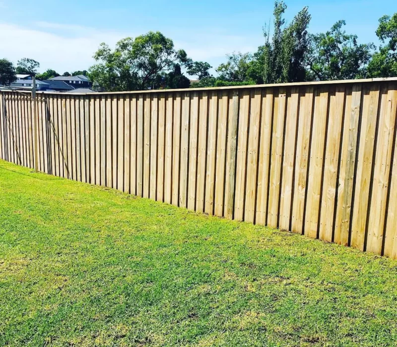 Fence 1